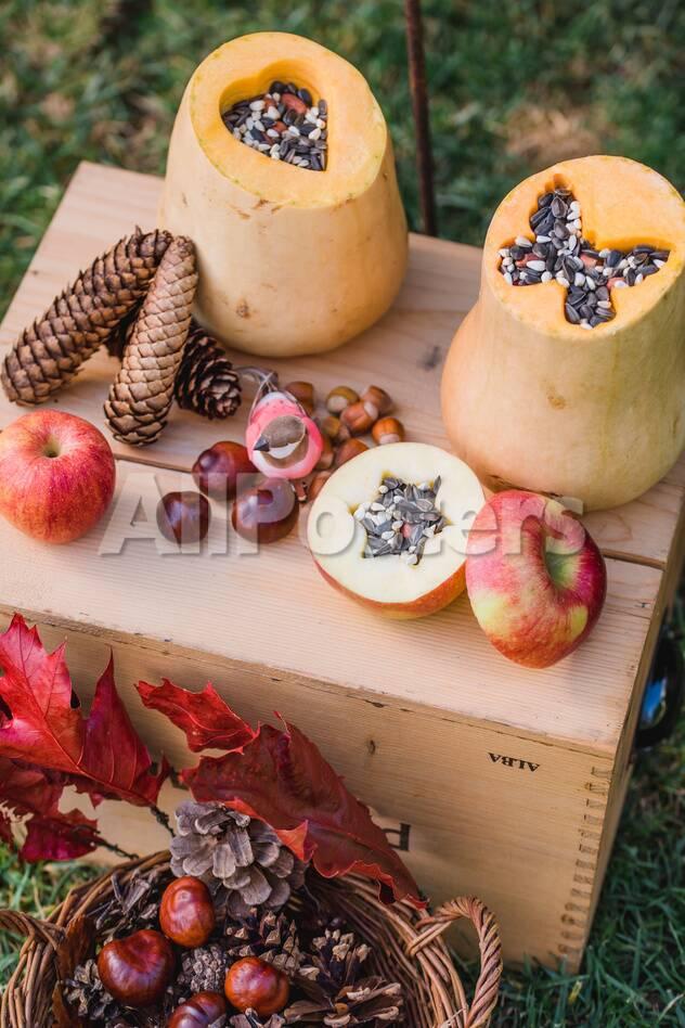 Garden Diy Self Made Bird Feeder Pumpkins Apples Box Detail