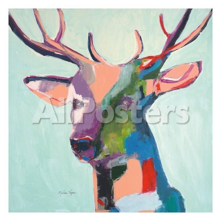 deer poster by melissa lyons at allposters com