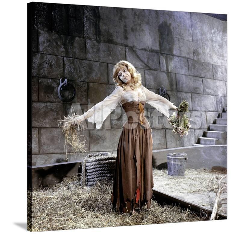 Merveilleuse Angelique 1965 Directed By Bernard Borderie Michele Mercier Photo Photo Allposters Com