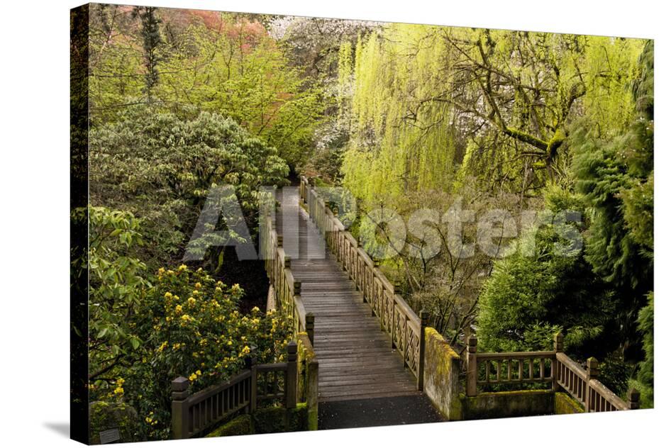 Bridge Crystal Springs Rhododendron Garden Portland Oregon Usa