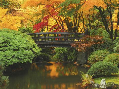 Moon Bridge In Autumn Portland Japanese Garden Portland Oregon Usa Photographic Print Michel Hersen Allposters Com