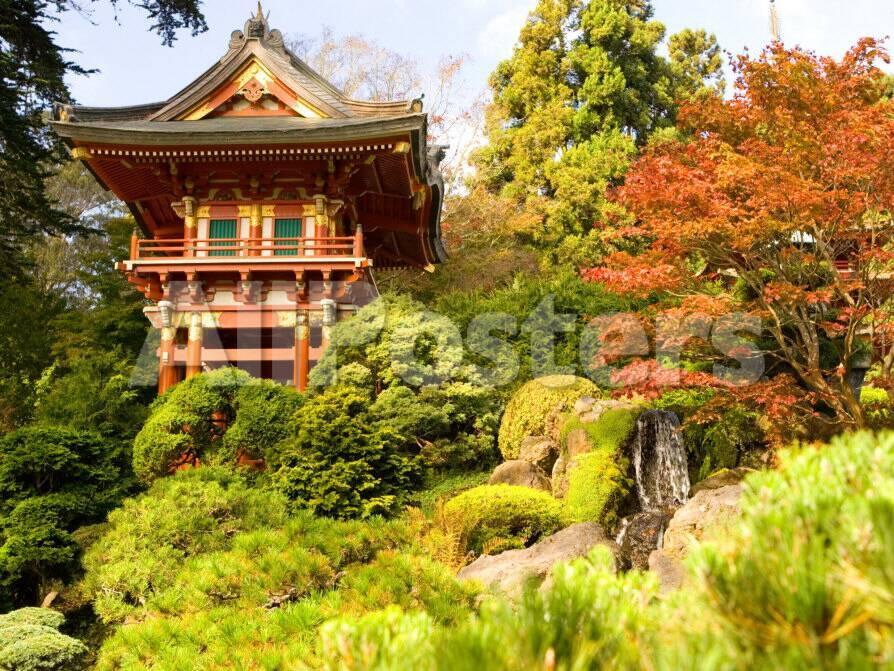 japanese tea garden golden gate park san francisco california usa photographic print by michele westmorland at allposterscom - Golden Gate Park Japanese Tea Garden japanese tea garden golden gate park san francisco california usa photographic print by michele westmorland at allposterscom - Golden Gate Park Japanese Tea Garden