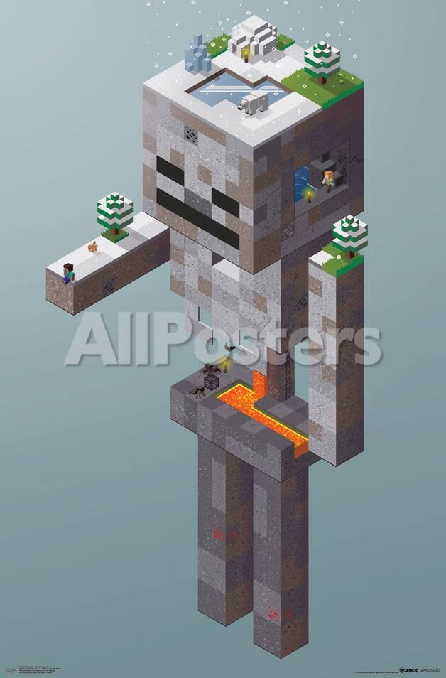 Minecraft Skeletontundra Posters Allposters Com