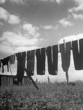 laundry hanging out to dry photographic print by leen periodic table print out