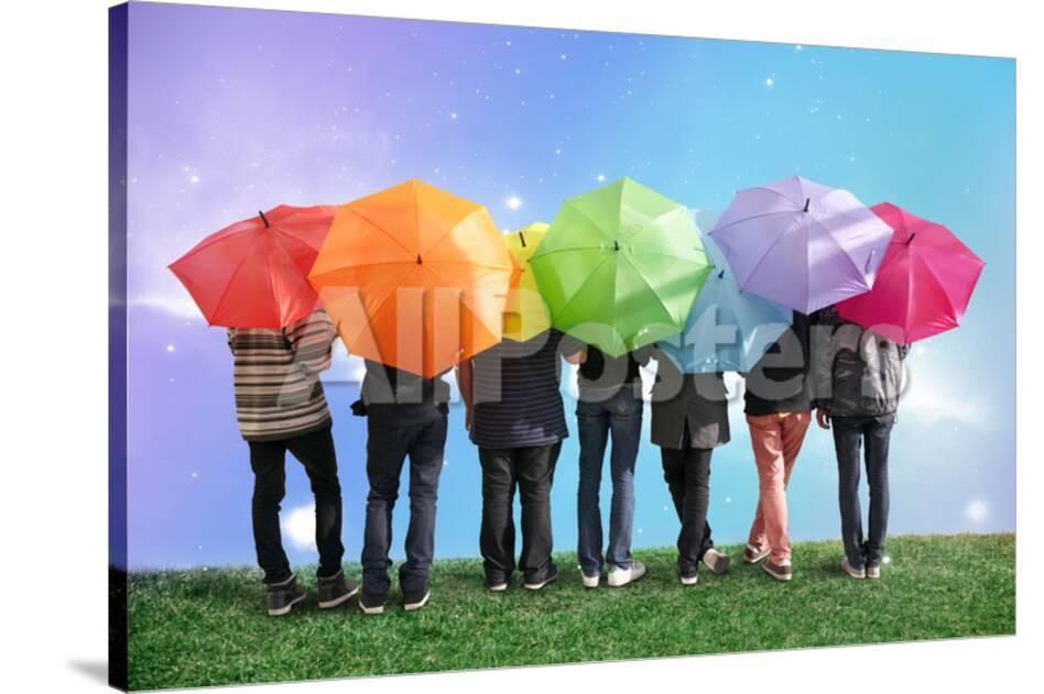 Seven Friends With Rainbow Color Umbrellas On Meadow Collage Art By Seven Friends With Rainbow Color Umbrellas On Meadow Collage Art By Paha L At Allposters
