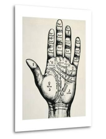 Palmistry Posters at AllPosters.com