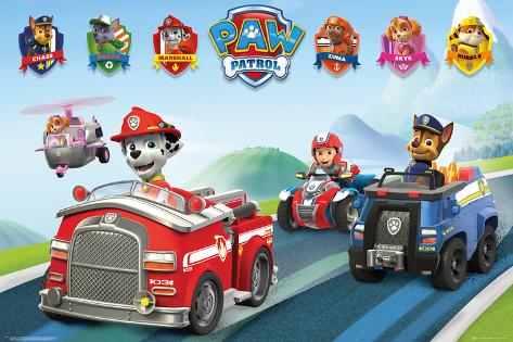 paw patrol con sus carros
