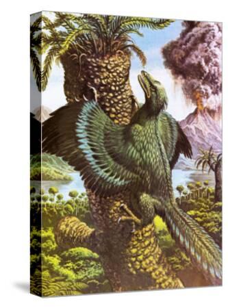 'Archaeopteryx' Giclee Print - Payne | AllPosters.com