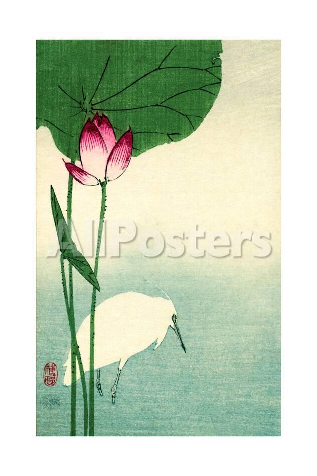 White Heron With Lotus In Water Vintage Japanese Woodblock Print Art Piddix Allposters Com Buy a lotus calligraphy wall scroll here! white heron with lotus in water vintage japanese woodblock print