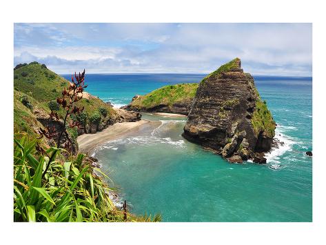 Piha Beach Auckland Newzealand Posters By Allposters Ie Piha Beach Auckland Newzealand