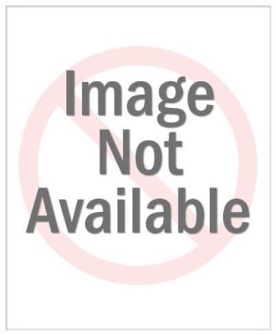 pop-ink-csa-images-squirrel-roadkill_a-G-9512839-9664571.jpg