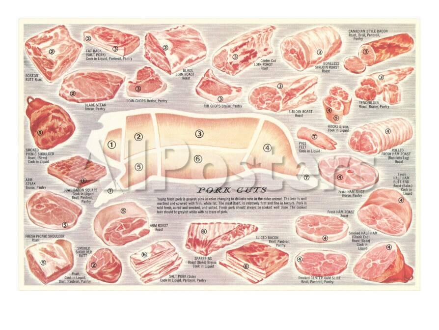 Pork Cuts Chart Posters At Allposters