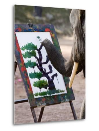 Elephant Painting, Chiang Mai, Thailand, Southeast Asia Photographic Print by Porteous Rod at