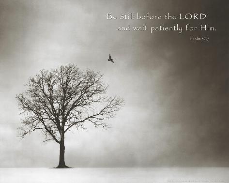 Psalm 37 Be Still Before the Lord Art Poster Print Prints at AllPosters.com