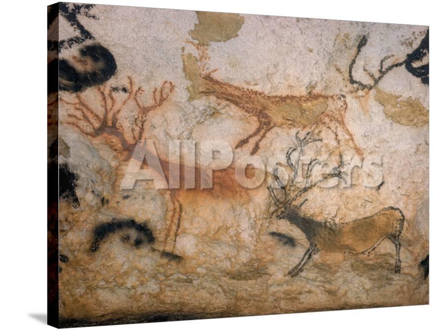 000 Year Old Lascaux Cave Painting Done By Cro Magnon Man In The Dordogne Region France Photographic Print Ralph Morse Allposters Com