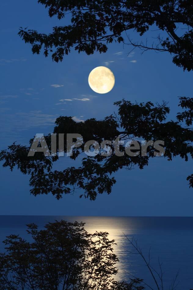 Moon Over Lake Photographic Print Richistory Allposters Com