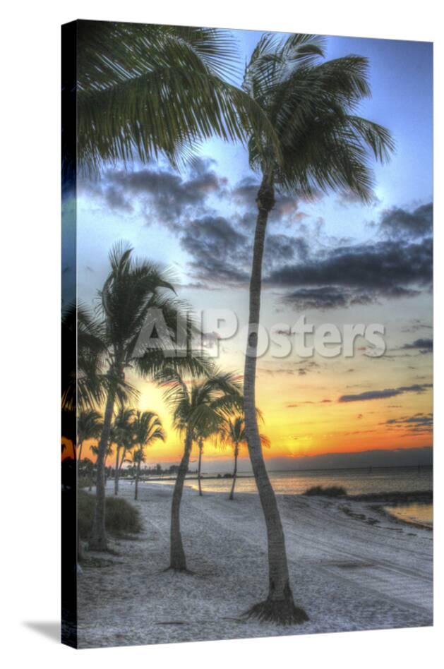 smathers beach sunrise vertical