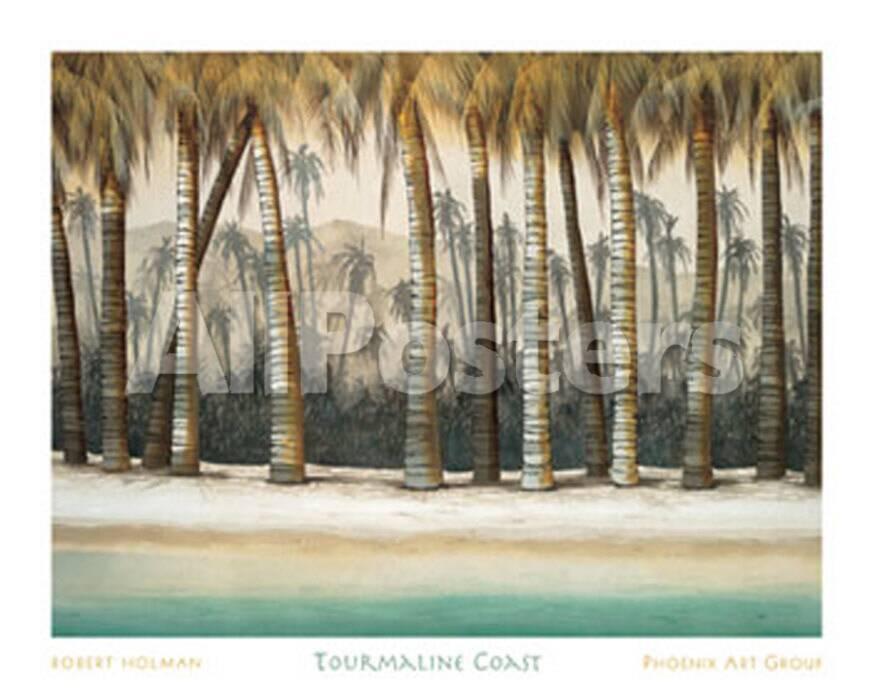 Tourmaline Coast' Prints