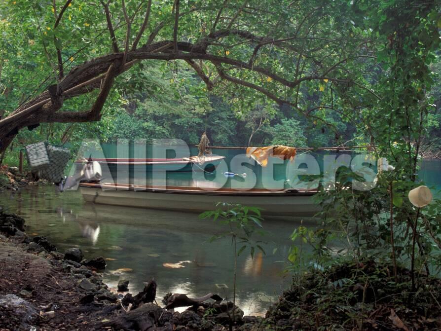 Blue Lagoon Jamaica Caribbean Photographic Print Robin Hill Allposters Com