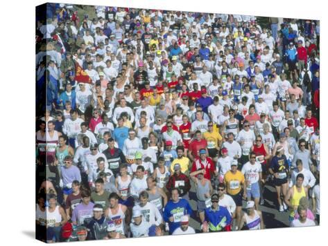 download marine marathon 2022 download marine marathon 2022