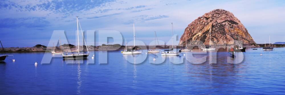 Sailboats In An Ocean Morro Bay San Luis Obispo County California Usa Photographic Print Allposters Com