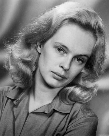 sandy dennis photo allposters com sandy dennis photo allposters com