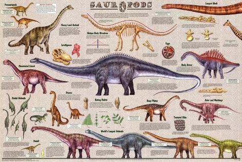 Dinosaur Chart