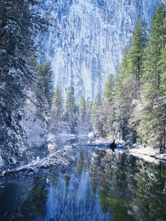 Snow Covered Trees Along Merced River, Yosemite Valley ...