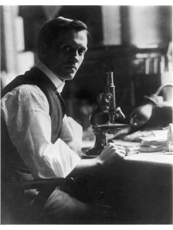 Alexander fleming homework help Alexander fleming homework help