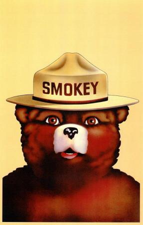 'Smokey the Bear' Masterprint | AllPosters.com