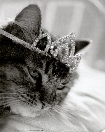Cat's Queen Posters by Stacey Green at AllPosters.com
