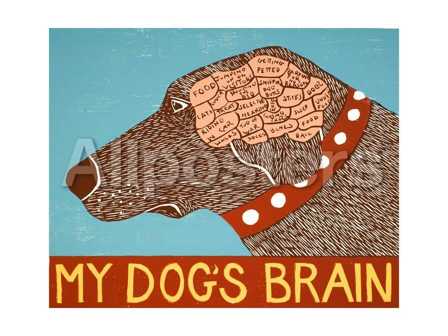 My Dogs Brain Choc - 