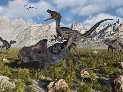 velociraptor fighting