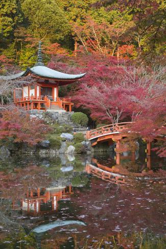 japanese temple garden in autumn daigoji temple kyoto japan photographic print by stuart black at allposterscom - Temple Garden japanese temple garden in autumn daigoji temple kyoto japan photographic print by stuart black at allposterscom - Temple Garden