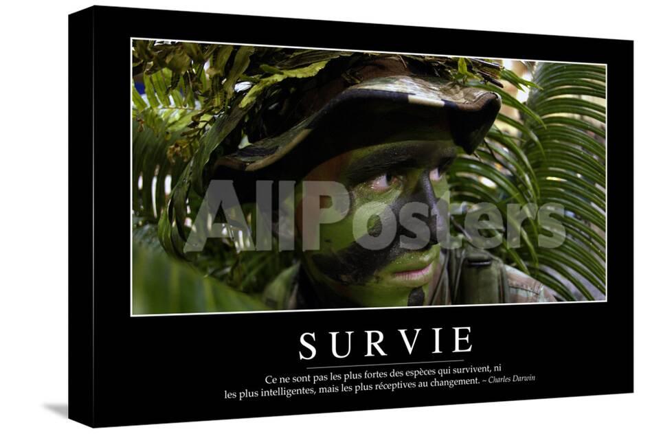 Survie Citation Et Affiche D Inspiration Et Motivation Photographic Print Allposters Com Survie Citation Et Affiche D Inspiration Et Motivation Photographic Print Allposters Com