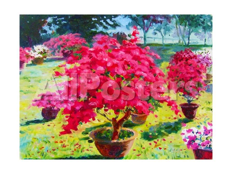 Painting Oil Color Landscape Original Colorful Of Paper Flower