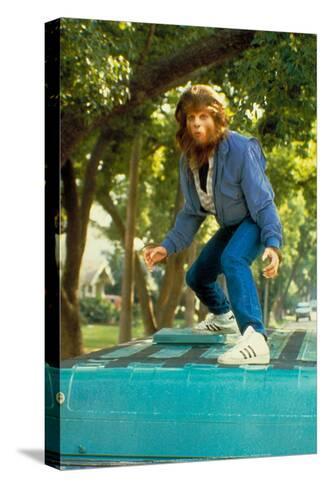 https://imgc.allpostersimages.com/img/print/posters/teen-wolf-surfing-on-van-movie-poster_a-G-9765856-13198931.jpg https://imgc.allpostersimages.com/img/print/posters/teen-wolf-surfing-on-van-movie-poster_a-G-9765856-13198931.jpg