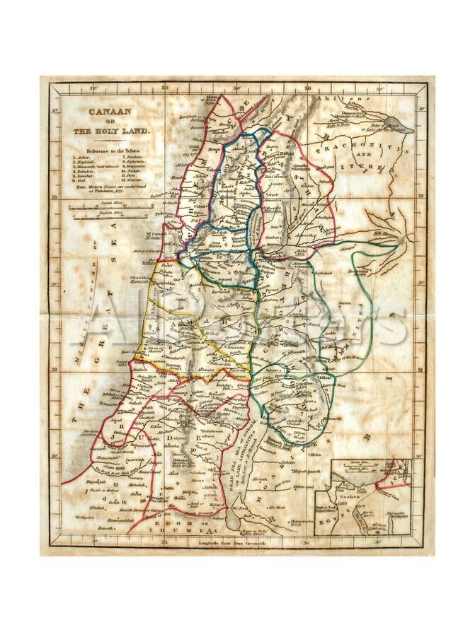オールポスターズの tektite old map of the holy land 高品質プリント
