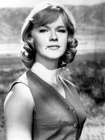 The Satan Bug Anne Francis 1965 Photo Allposters Com
