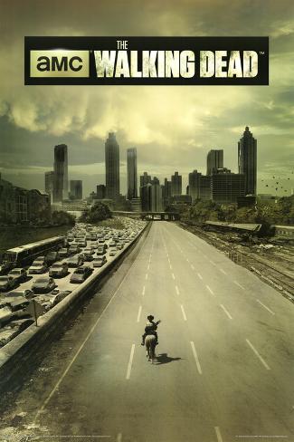 Resultado de imagem para the walking dead poster
