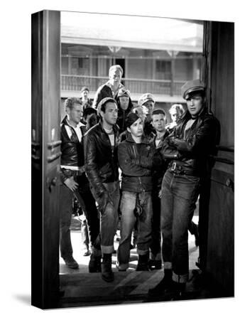 The Wild One, Jerry Paris, Alvy Moore, Marlon Brando, 1954 Photo at