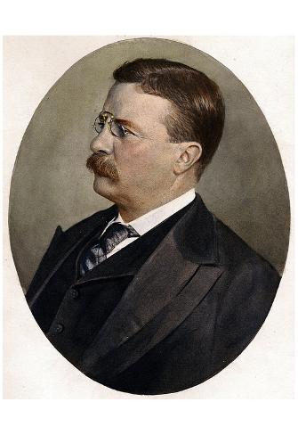 Theodore Roosevelt (Color Portriat) Art Poster Print Poster ...