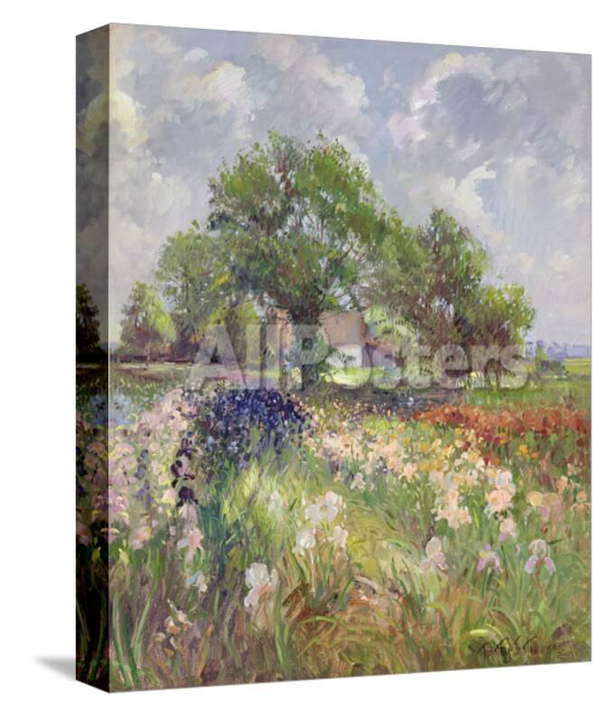 White Barn And Iris Field 1992 Giclee Print By Timothy Easton At