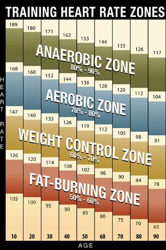 Heart Zone Chart