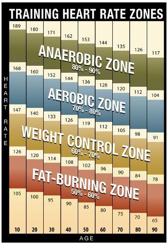 Training Heart Rate Zones Chart (Modern) Posters ...