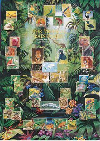 Tropical Rainforest Animal and Plant Chart Poster Poster ... diagram of orchids 