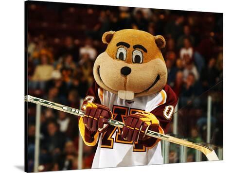 university-of-minnesota-goldy-the-gopher-at-hockey-game_a-G-9086805-8363144.jpg