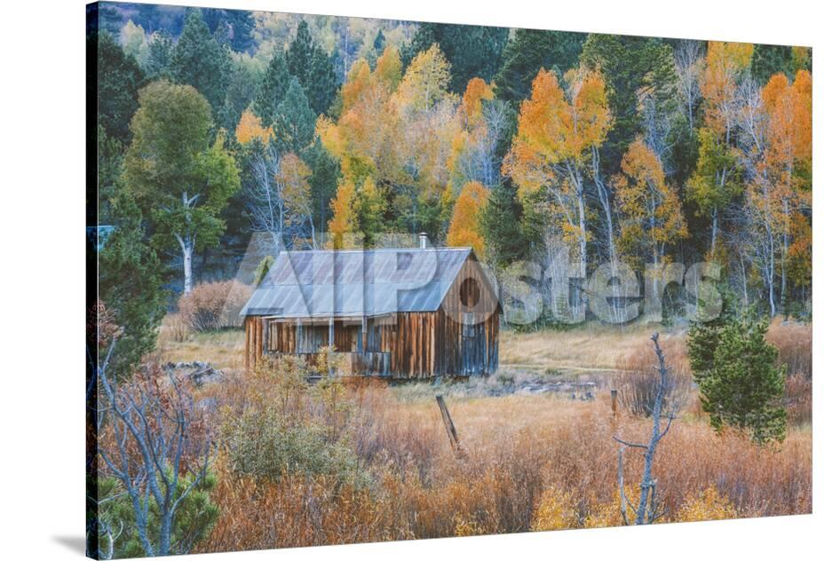 Old Cabin In Autumn Woods Hope Valley California Photographic