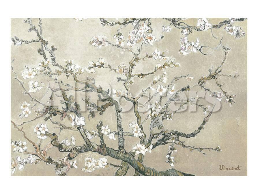 Garrrovillas Celebra El Almendro En Flor El Dia 28
