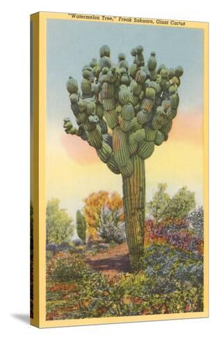 watermelon tree freak saguaro cactus prints allposters ca